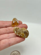 Yellowstone Montana Agates