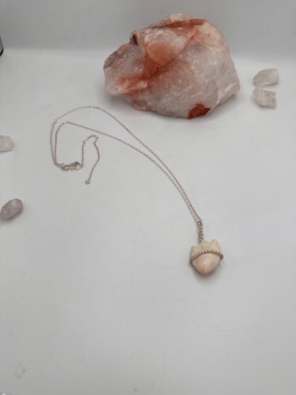 Elk Tooth Necklace