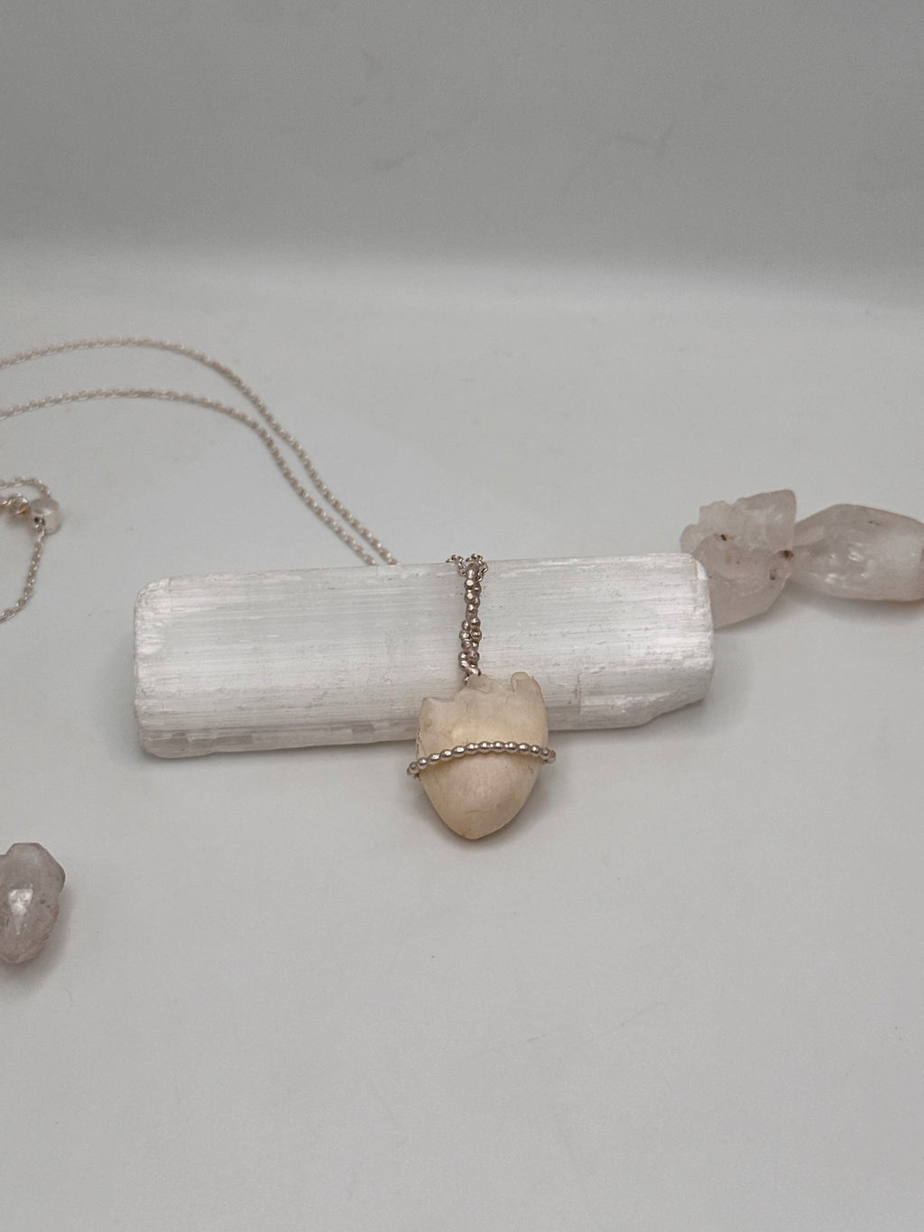 Elk Tooth Necklace