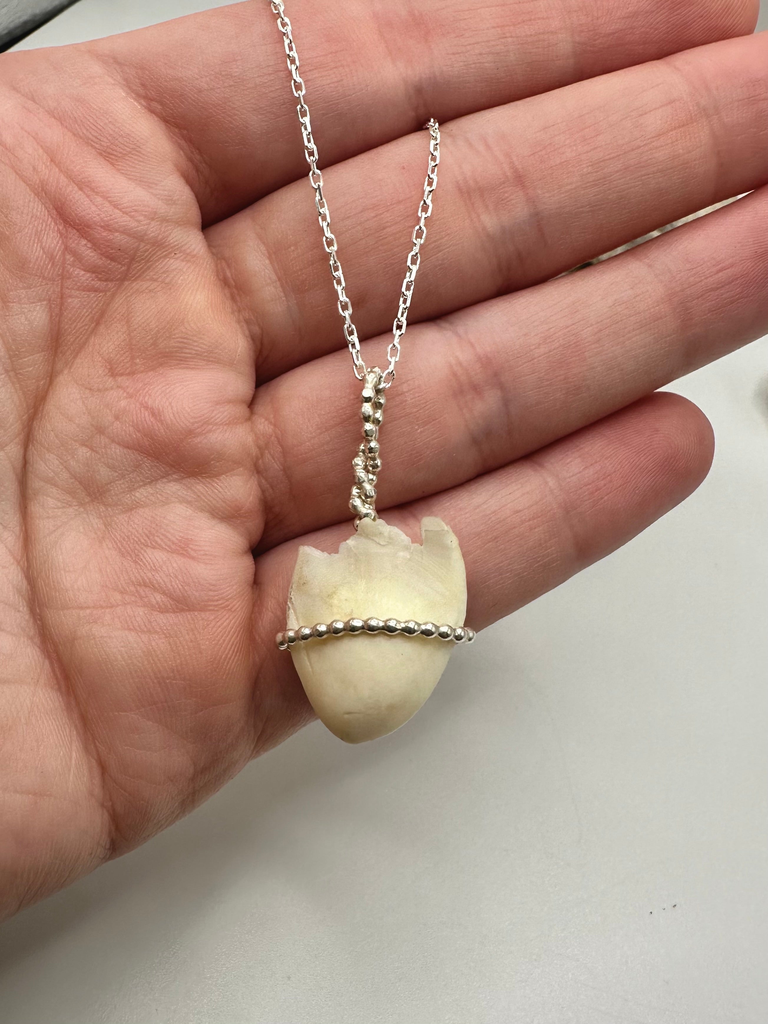 Elk Tooth Necklace