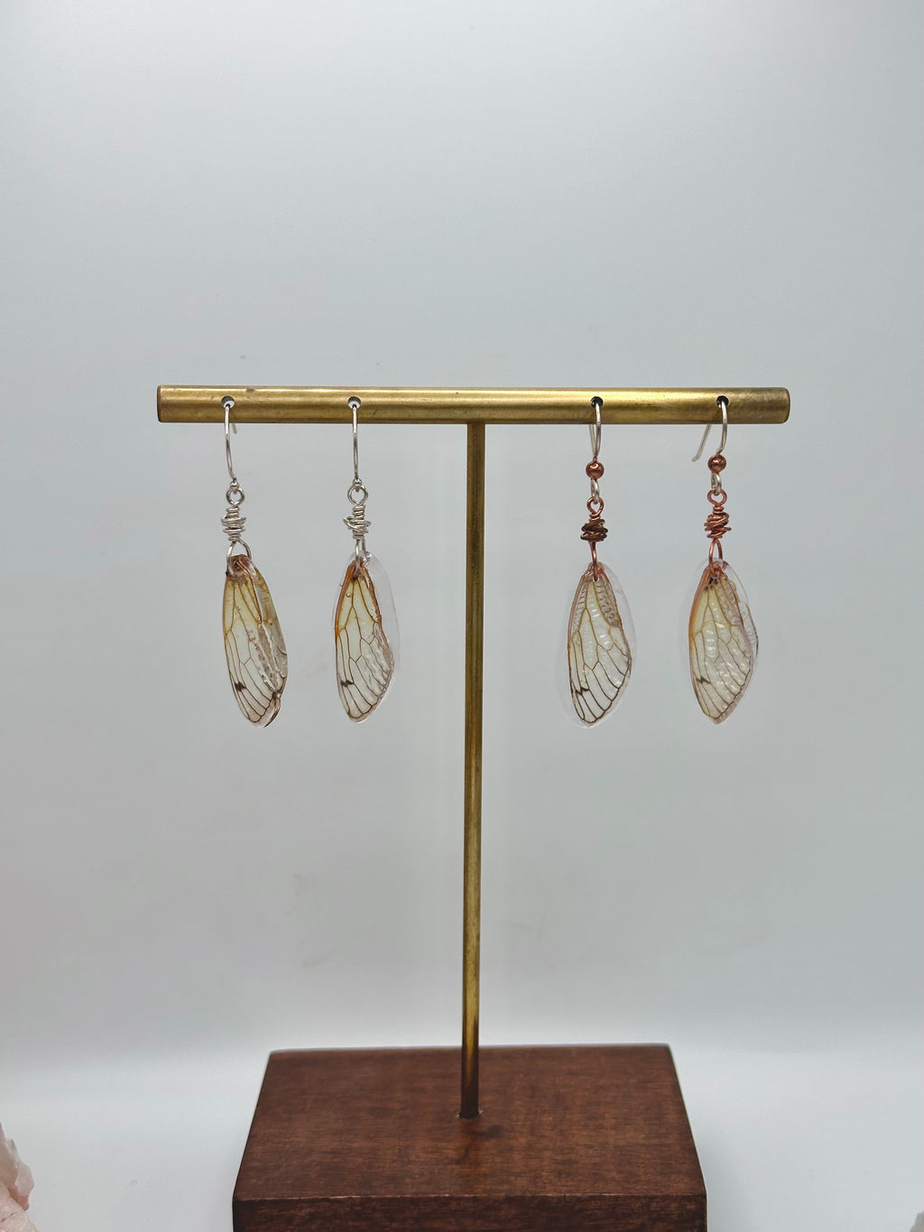 Cicada Wing earrings