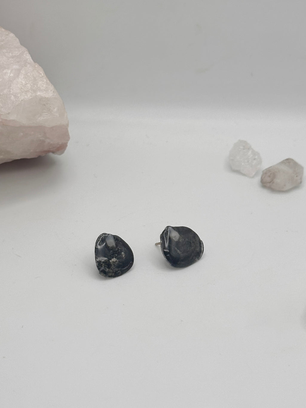 Seashell stud earrings