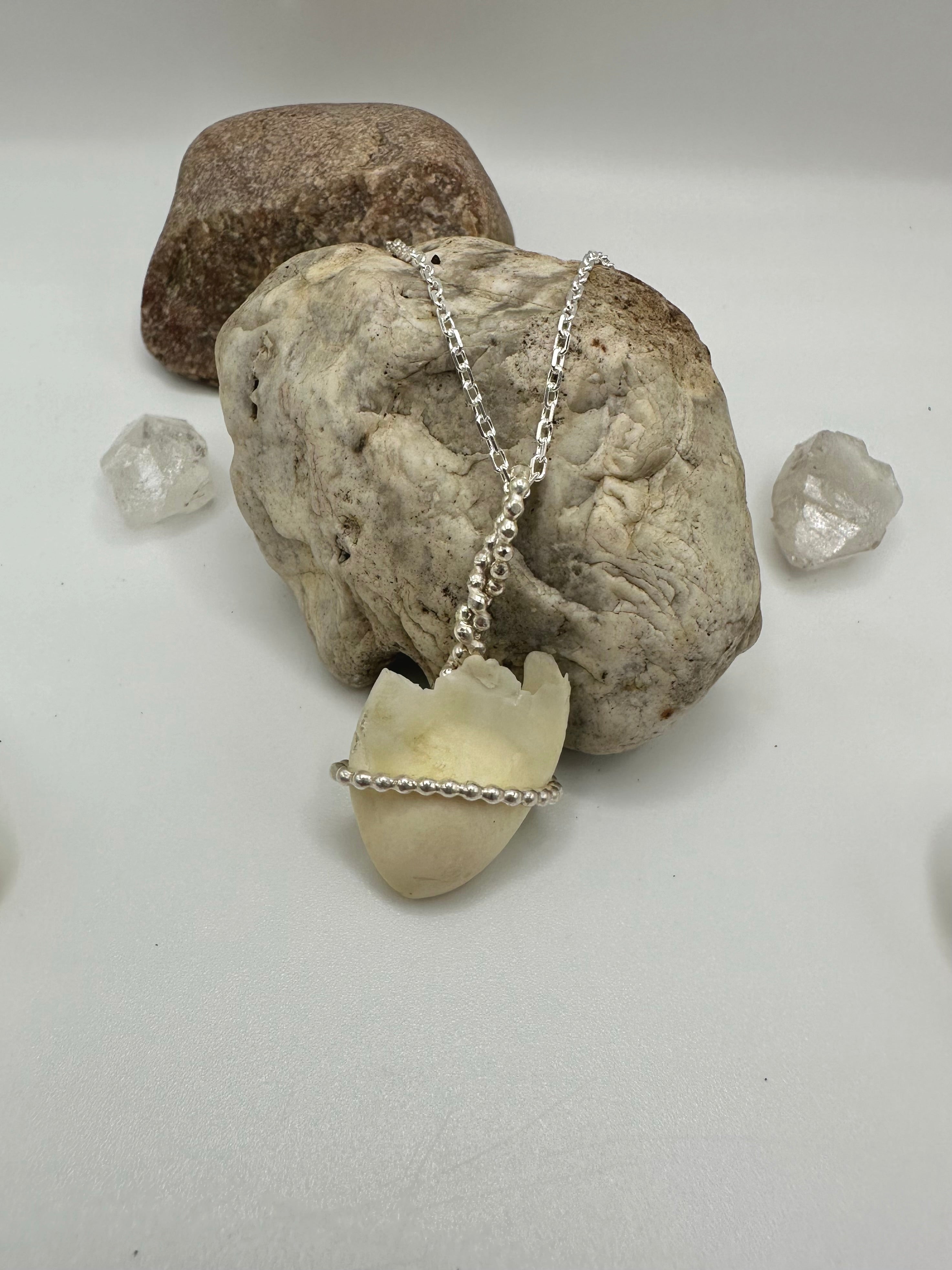 Elk Tooth Necklace