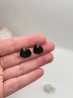 Seashell stud earrings