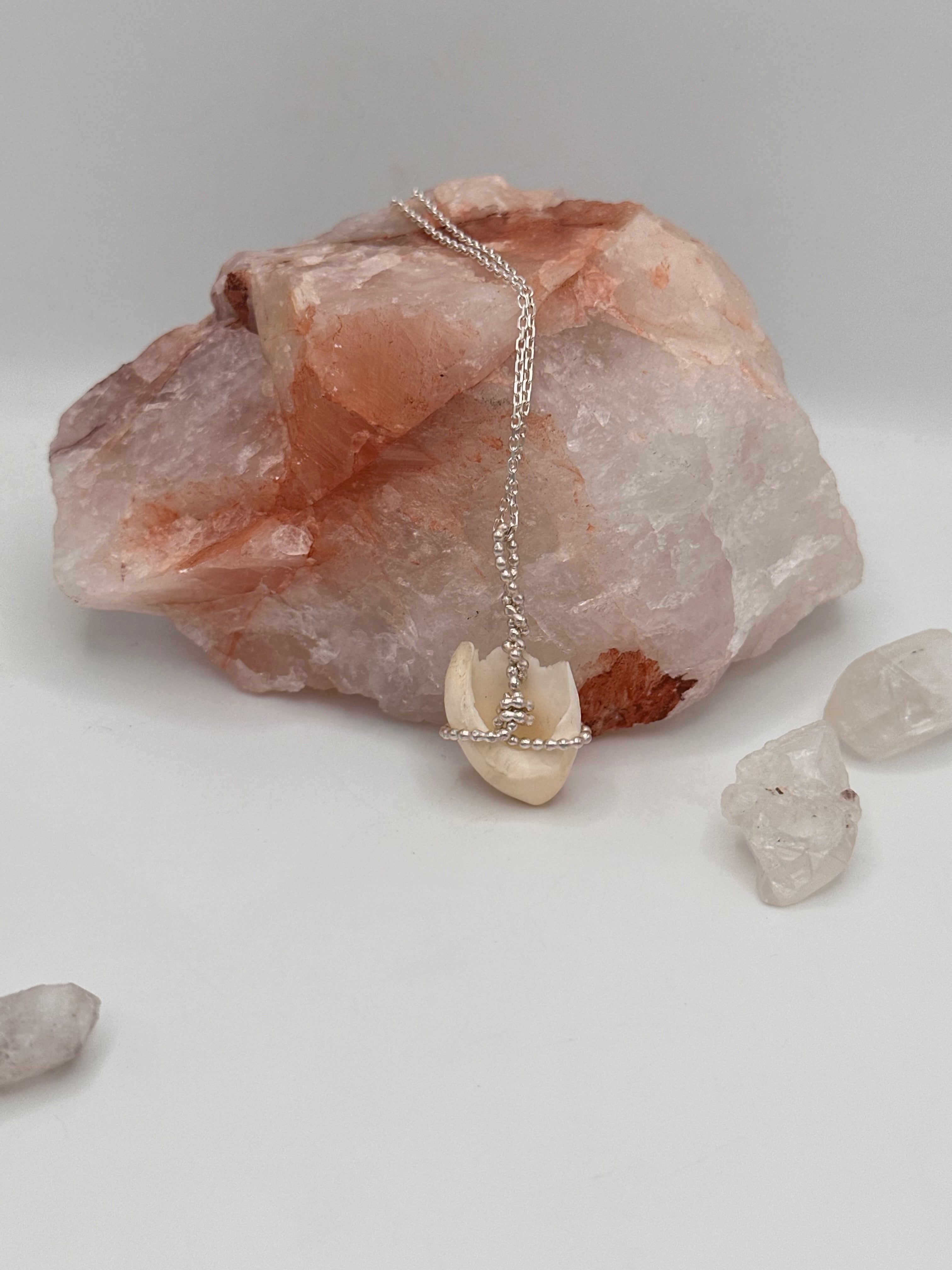 Elk Tooth Necklace