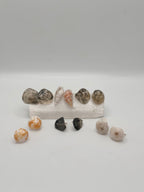 Seashell stud earrings