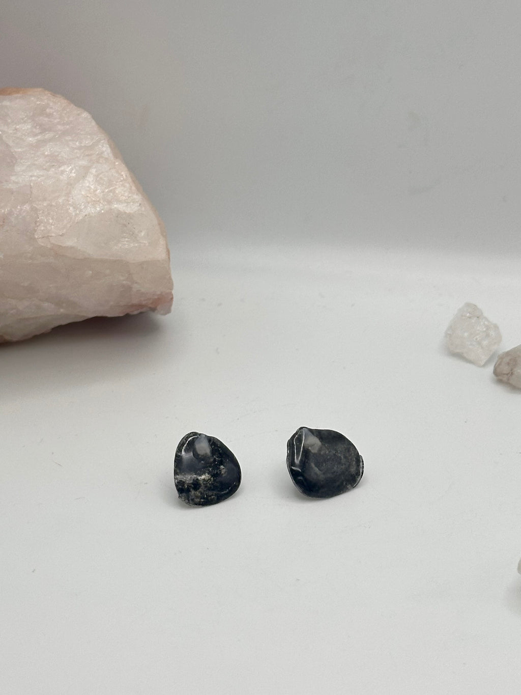 Seashell stud earrings