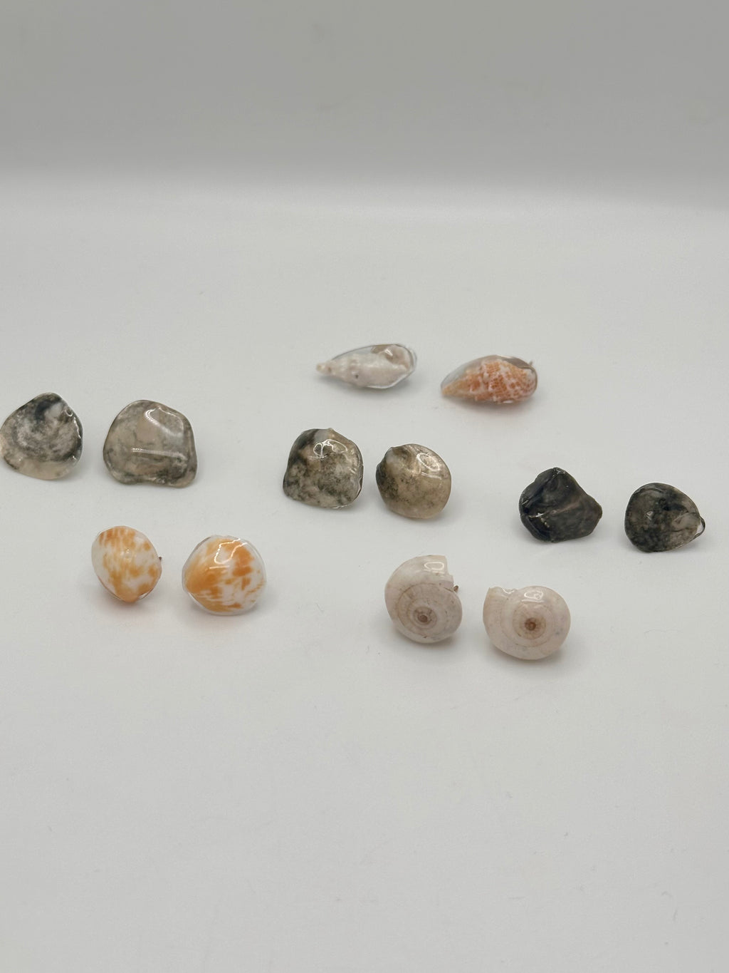 Seashell stud earrings