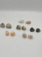 Seashell stud earrings