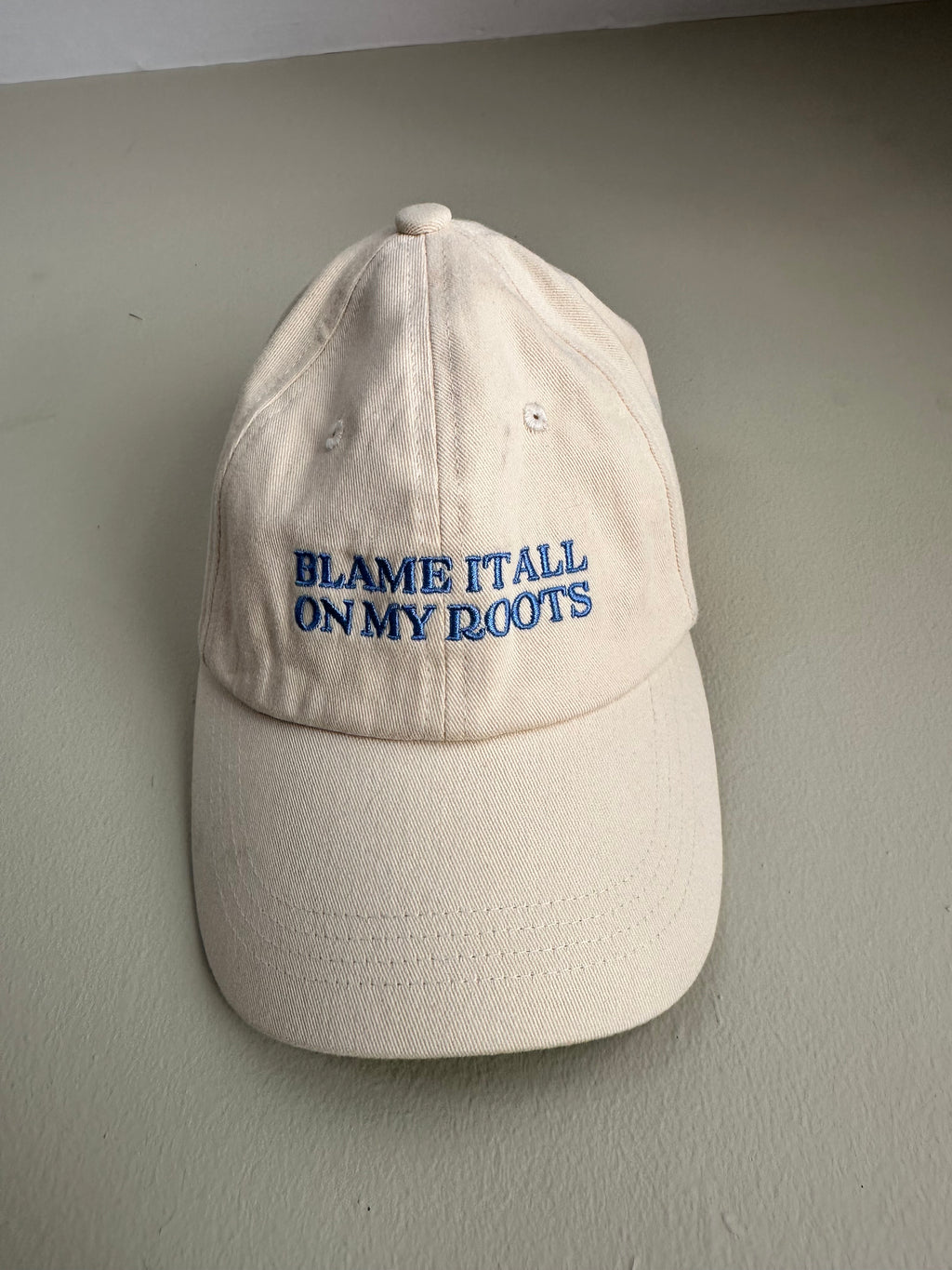 Blame It All On My Roots Hat