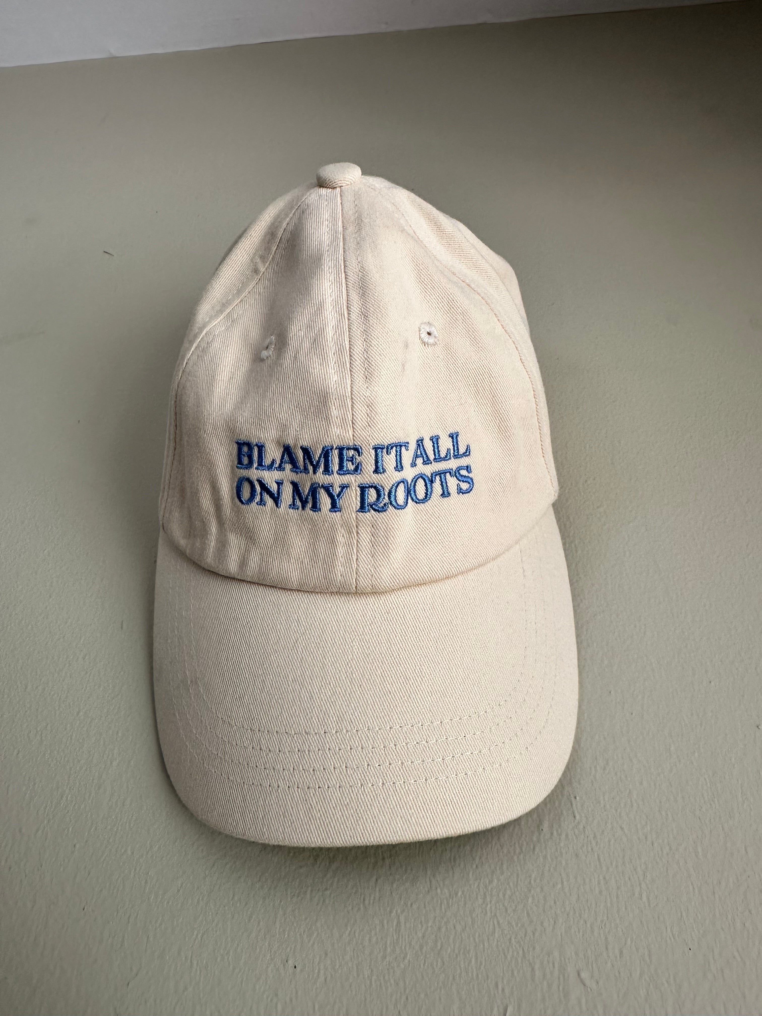 Blame It All On My Roots Hat