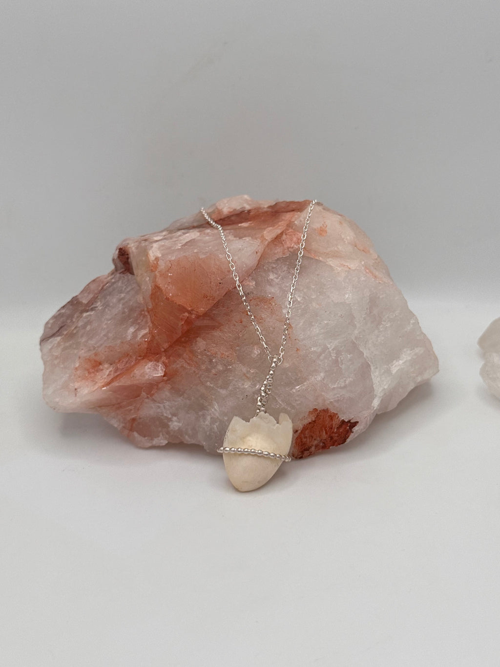 Elk Tooth Necklace