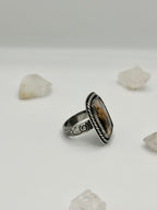 Agatized Petrified Wood ring
