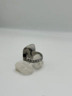 Agatized Petrified Wood ring