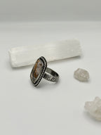 Agatized Petrified Wood ring