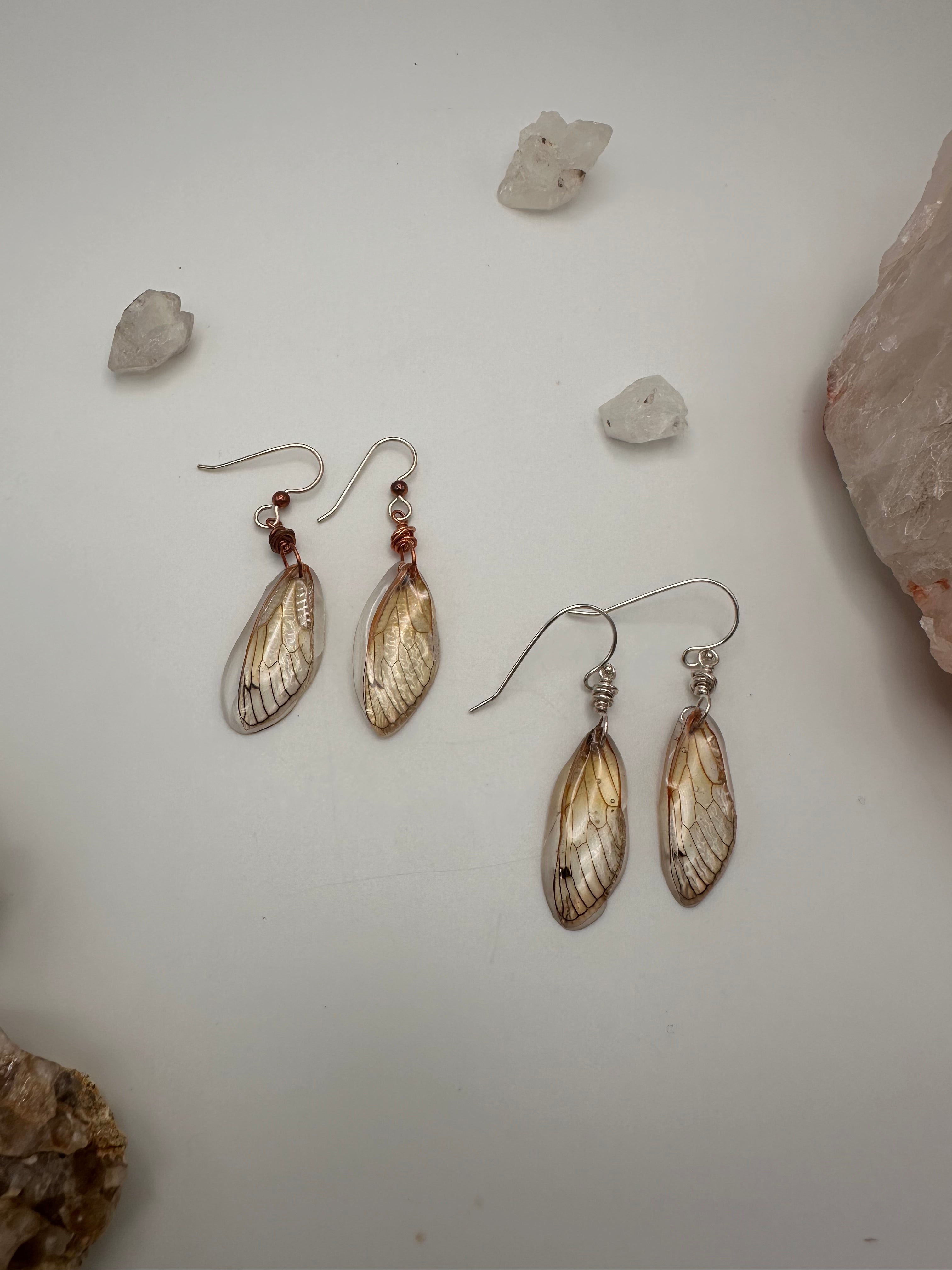 Cicada Wing earrings