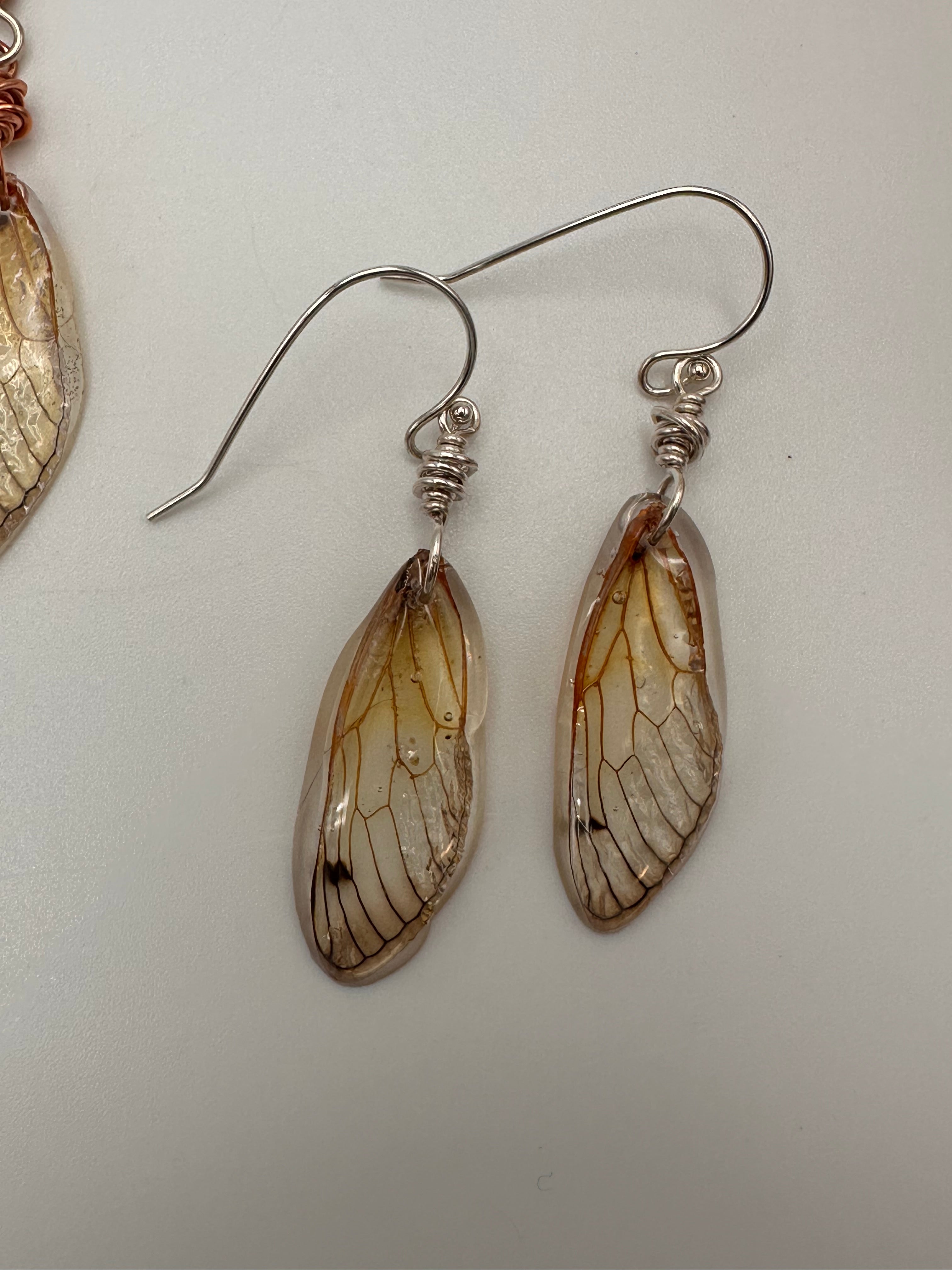 Cicada Wing earrings