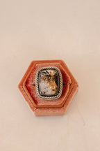 Agatized Petrified Wood ring